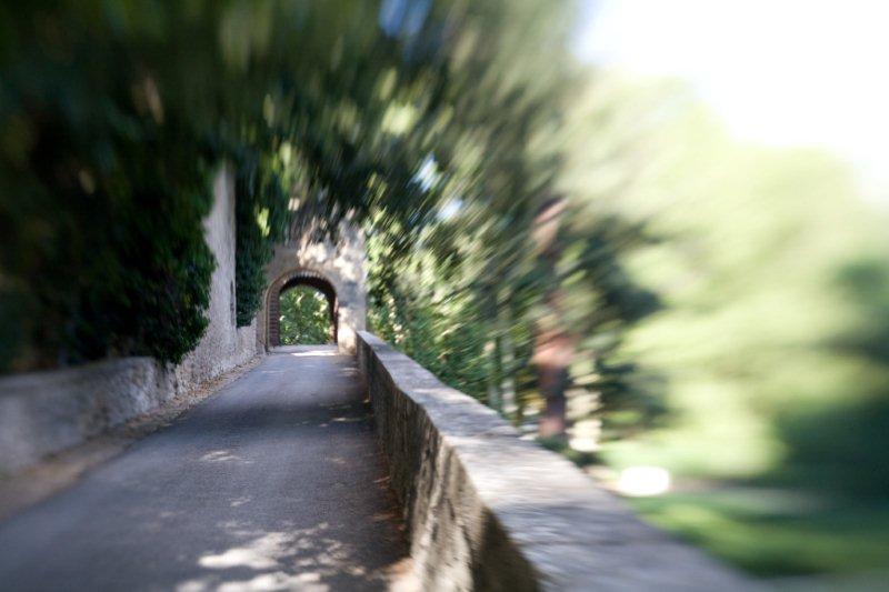 Show me the way